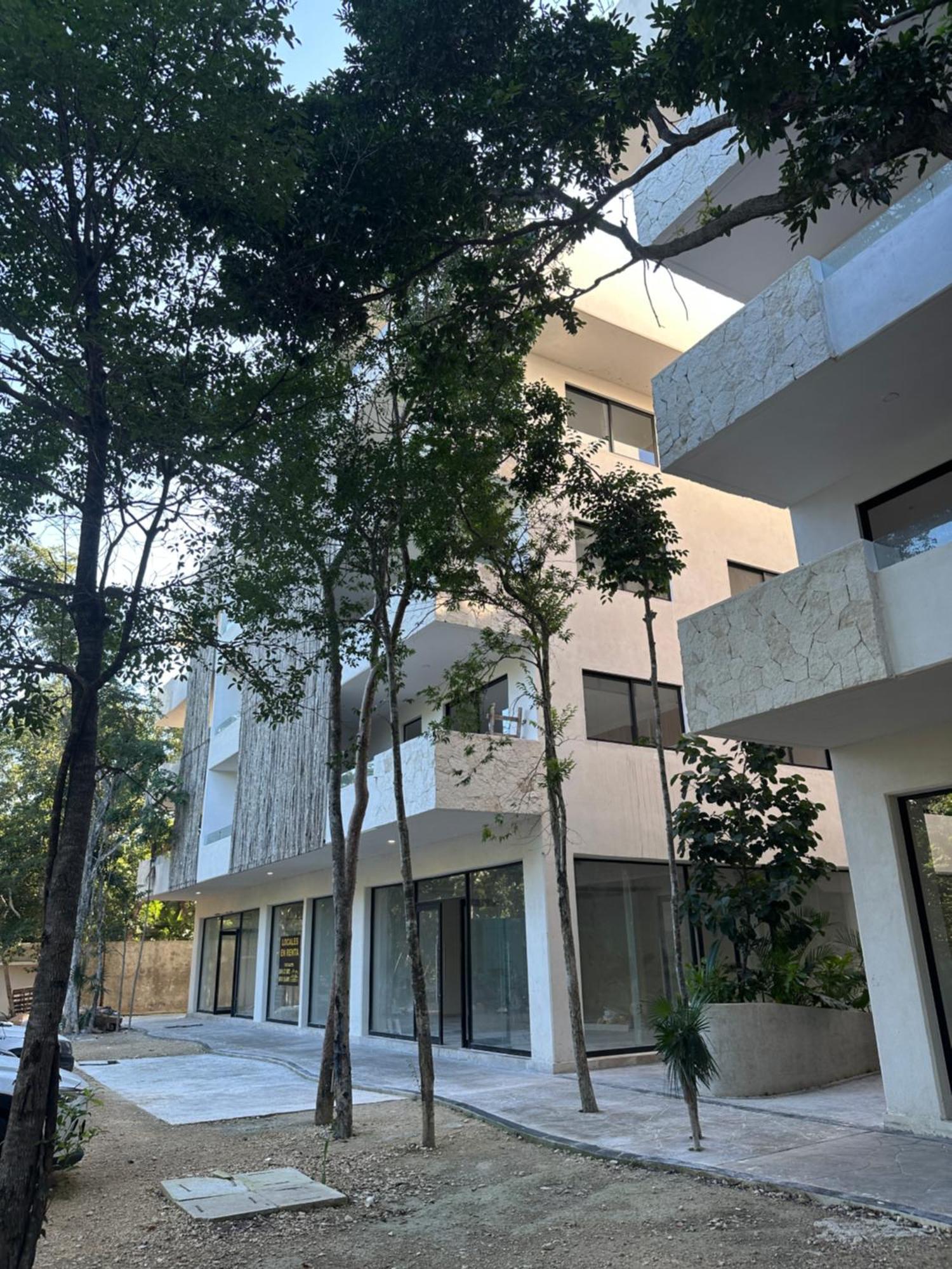 Apartment Natural Mystique